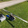 Saisonendfliegen